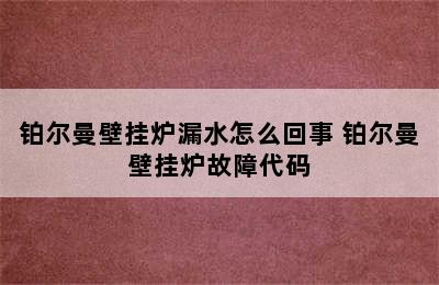 铂尔曼壁挂炉漏水怎么回事 铂尔曼壁挂炉故障代码